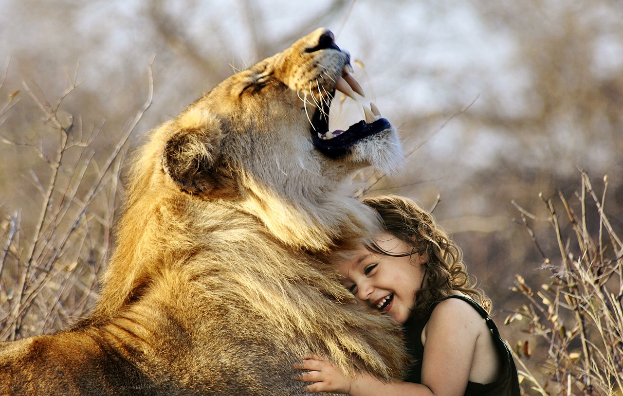 An image of a little girl hugging a lion, which is a humourous illustration of false friends.
